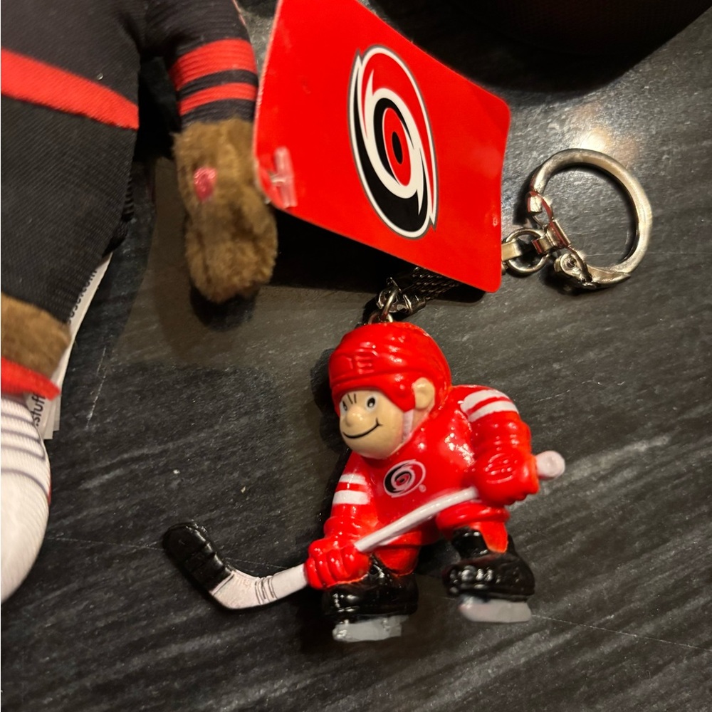 Carolina Hurricanes Hockey Memorabilia Set - Picture 2 of 8